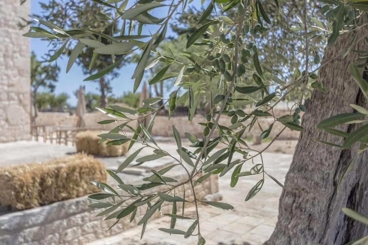 Masseria Fanizzi Conversano Luaran gambar