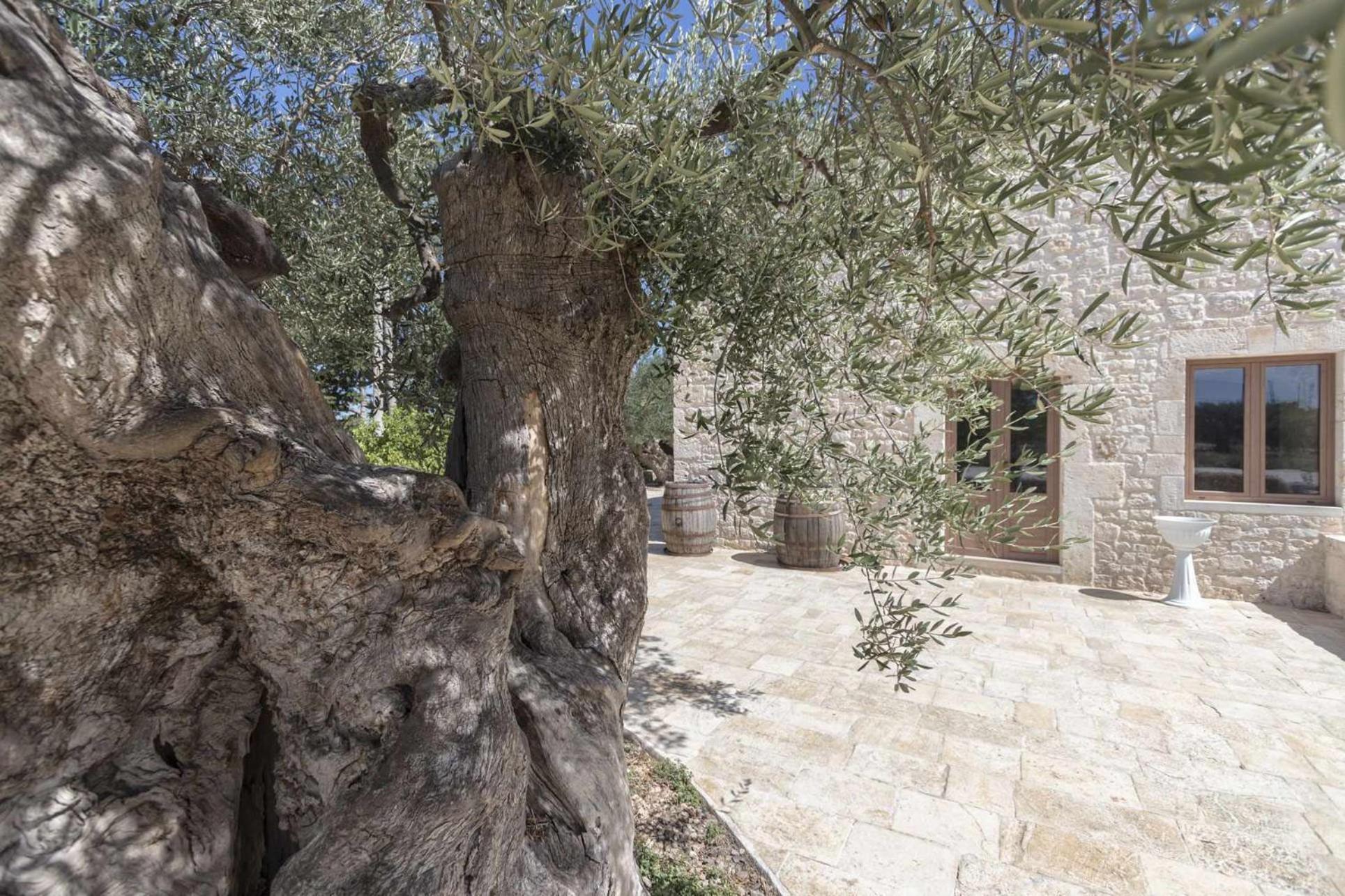 Masseria Fanizzi Conversano Bilik gambar