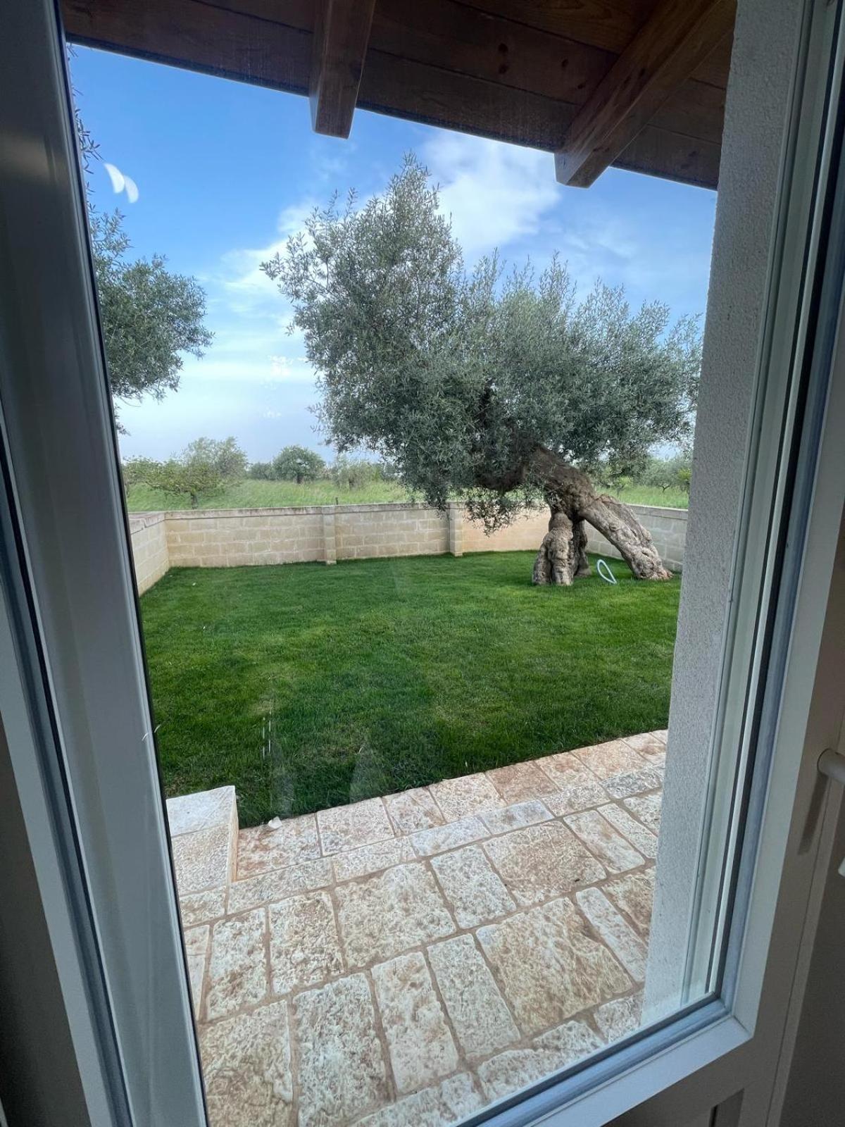 Masseria Fanizzi Conversano Bilik gambar